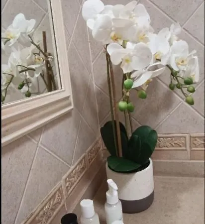 Lejlighed Recanto Das Tertulias - Apartamento 3 Quartos - Perfeito Para Familias E Amigos *